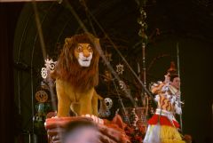 Simba and pals in the Festival of The Lion King show at Disney’s Animal Kingdom theme park.