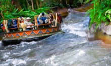 A raft fights the rapids on the Kali River Rapids ride at Disney’s Animal Kingdom theme park.