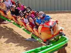 Air Grover is a kiddie coaster at Busch Gardens.
