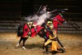Medieval times for a knight your group will rememeber. discount tickets are available for this awesome dinner and show.