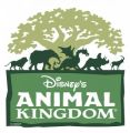 get group discounts for disney’s animal kingdom theme park.