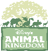 Dsiney’s Animal Kingdom ticket discounts for groups.