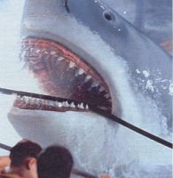 Jaws the ride at Universal is an original and fun for all. Jaws is included in your discount ticket at no extra charge.