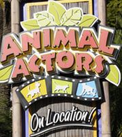 Animal Actors at Universal Studios is a fun show. The show is included in your cheap ticket from Orlando Group Getaways.